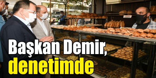 Başkan Demir, denetimde