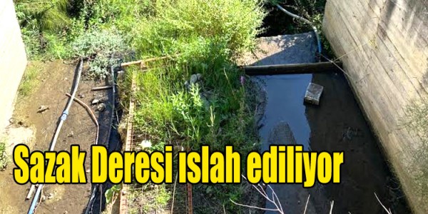 Sazak Deresi ıslah ediliyor
