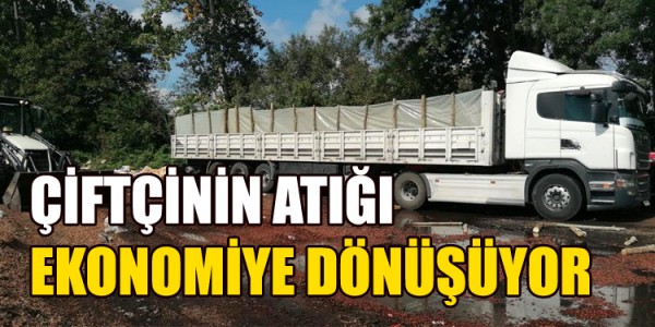 ÇİFTÇİNİN ATIĞI EKONOMİYE DÖNÜŞÜYOR