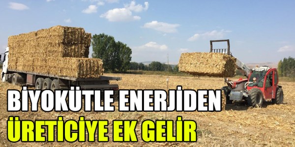 BİYOKÜTLE ENERJİDEN ÜRETİCİYE EK GELİR