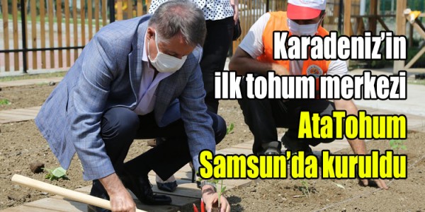 Karadeniz’in ilk tohum merkezi  AtaTohum Samsun’da kuruldu