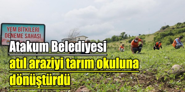 Atakum Belediyesi atıl araziyi   tarım okuluna dönüştürdü