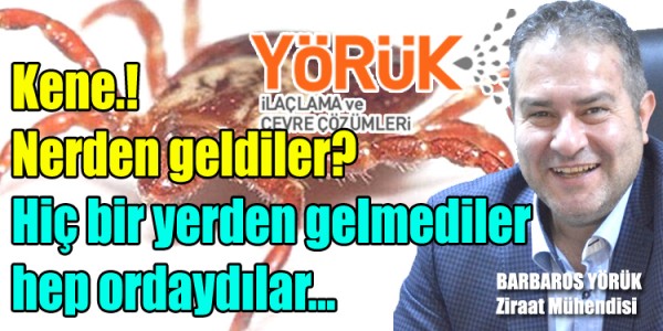 Keneler Nerden geldiler