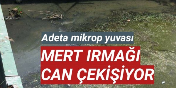 MERT IRMAĞI CAN ÇEKİŞİYOR 