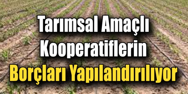 Tarımsal Amaçlı Kooperatiflerin Borçları Yapılandırılıyor