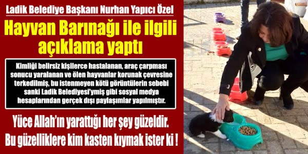 BAŞKAN ÖZEL GEÇİCİ KORUNAĞI ZİYARET ETTİ