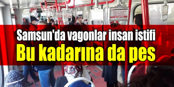 Bu kadarına da pes 