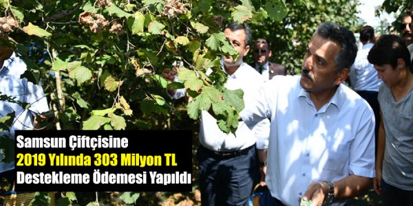 Samsun Çiftçisine 2019 Yılında 303 Milyon TL Destekleme Ödemesi Yapıldı