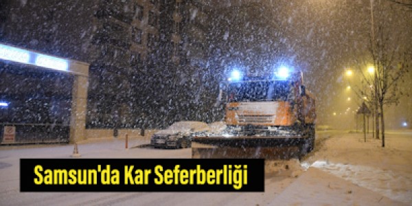 Samsun'da Kar Seferberliği 