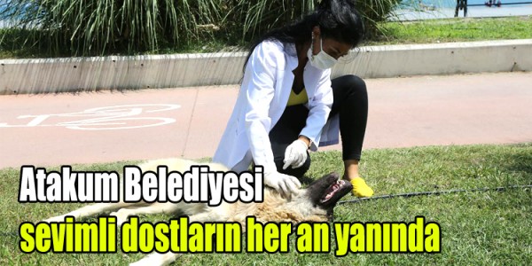 Atakum Belediyesi sevimli dostların her an yanında