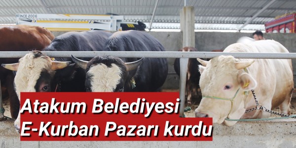 Atakum Belediyesi  E-Kurban Pazarı kurdu