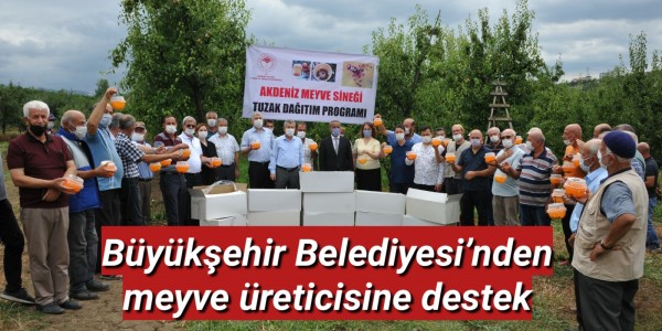 Büyükşehir Belediyesi’nden meyve üreticisine destek