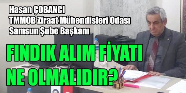 YILI FINDIK ALIM FİYATI NE OLMALIDIR