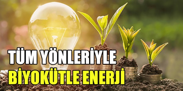TÜM YÖNLERİYLE BİYOKÜTLE ENERJİ 