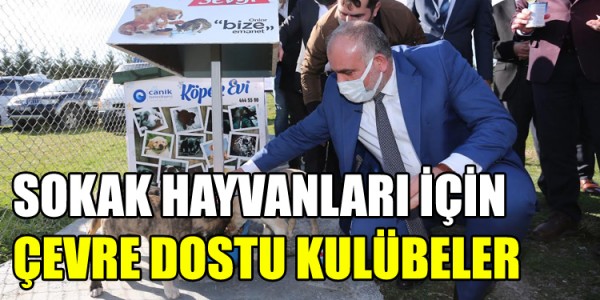 CANİK’TEKİ SOKAK HAYVANLARI İÇİN ÇEVRE DOSTU KULÜBELER