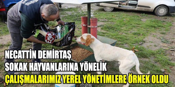SOKAK HAYVANLARINA YÖNELİK ÇALIŞMALARIMIZ YEREL YÖNETİMLERE ÖRNEK OLDU