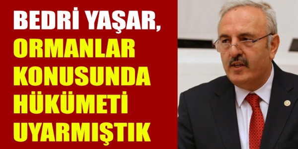 BEDRİ YAŞAR, DAHA ÖNCE ORMANLAR KONUSUNDA HÜKÜMETİ UYARMIŞTIK