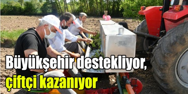 Büyükşehir destekliyor, çiftçi kazanıyor