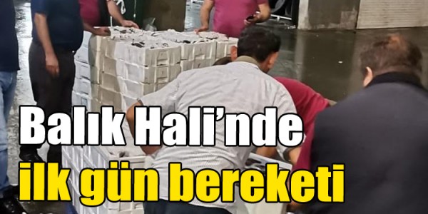 Balık Hali’nde ilk gün bereketi