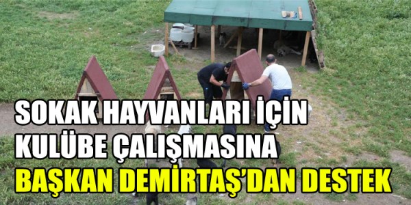 SOKAK HAYVANLARI İÇİN KULÜBE ÇALIŞMASINA  BAŞKAN DEMİRTAŞ’DAN DESTEK