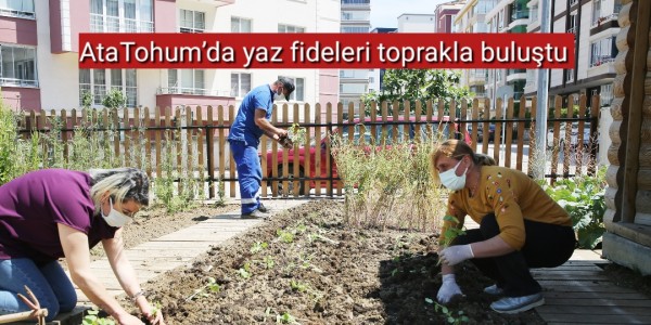 AtaTohum’da yaz fideleri toprakla buluştu