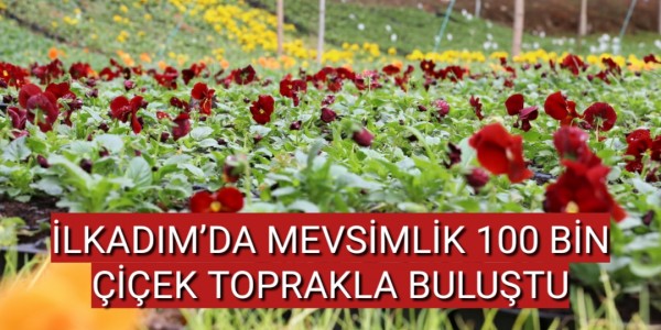İLKADIM’DA MEVSİMLİK 100 BİN ÇİÇEK TOPRAKLA BULUŞTU