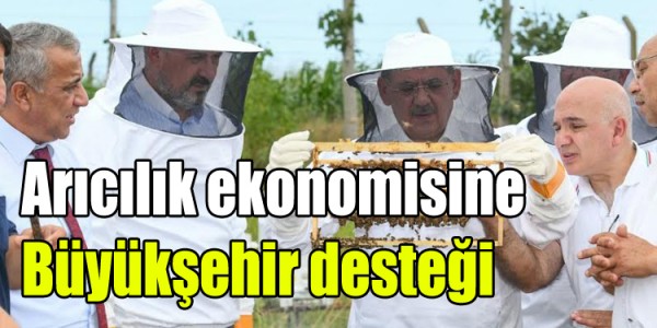 Arıcılık ekonomisine Büyükşehir desteği