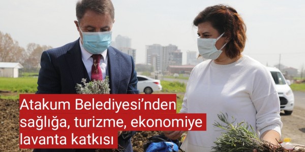 Atakum Belediyesi’nden sağlığa, turizme, ekonomiye lavanta katkısı