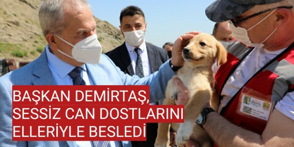 BAŞKAN DEMİRTAŞ, SESSİZ CAN DOSTLARINI ELLERİYLE BESLEDİ