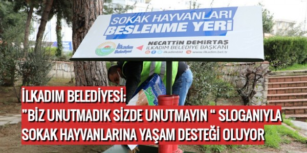 İLKADIM BELEDİYESİ; ”BİZ UNUTMADIK SİZDE UNUTMAYIN “ SLOGANIYLA SOKAK HAYVANLARINA YAŞAM DESTEĞİ OLUYOR