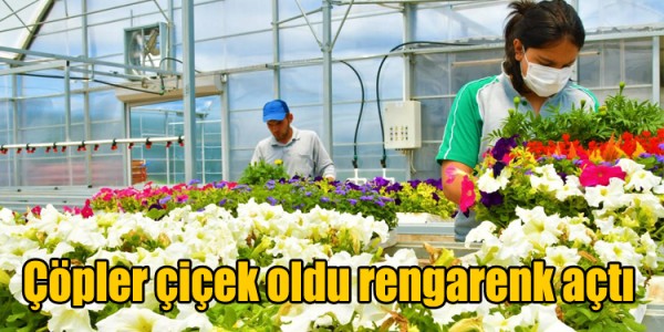 Çöpler çiçek oldu rengarenk açtı