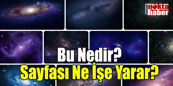 Bu Nedir? Sayfası Ne İşe Yarar?