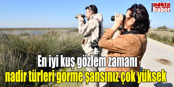 En iyi kuş gözlem zamanı nadir türleri görme şansınız çok yüksek  