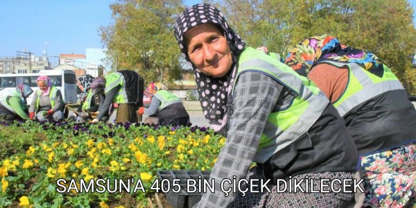SAMAUN' 405 BİN ÇİÇEK DİKİLECEK