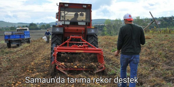 Samaun'da tarıma rekor destek