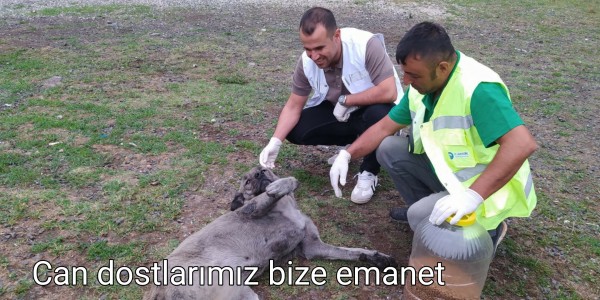 Can dostlarımız bize emanet