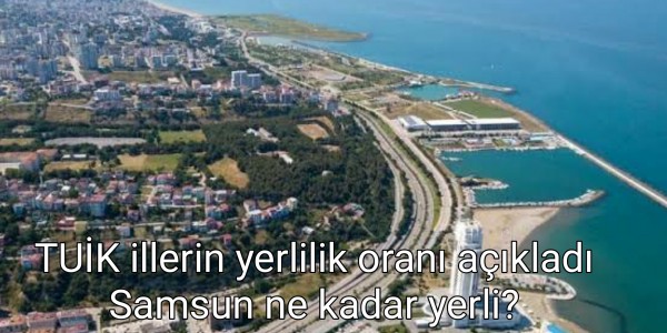TUİK illerin yerlilik oranı açıkladı Samsun ne kadar yerli?