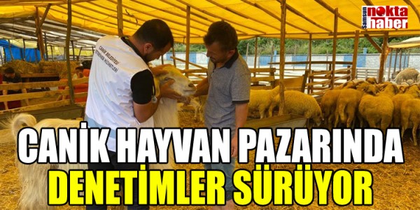 CANİK HAYVAN PAZARINDA DENETİMLER SÜRÜYOR