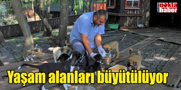 Yaşam alanları büyütülüyor
