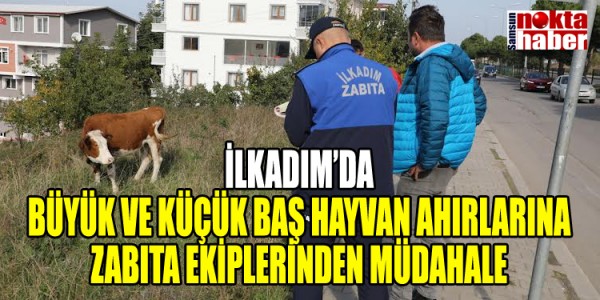 İLKADIM’DA BÜYÜK VE KÜÇÜK BAŞ HAYVAN AHIRLARINA ZABITA EKİPLERİNDEN MÜDAHALE