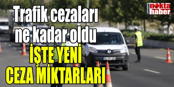 Trafik cezaları ne kadar oldu İŞTE YENİ CEZA MİKTARLARI