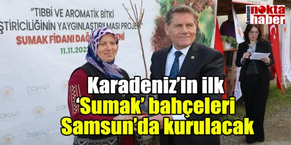 Karadeniz’in ilk ‘Sumak’ bahçeleri Samsun’da kurulacak