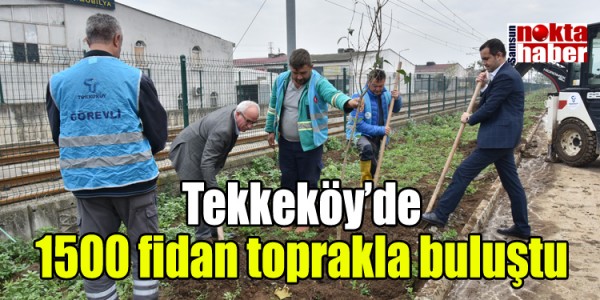 Tekkeköy’de 1500 fidan toprakla buluştu
