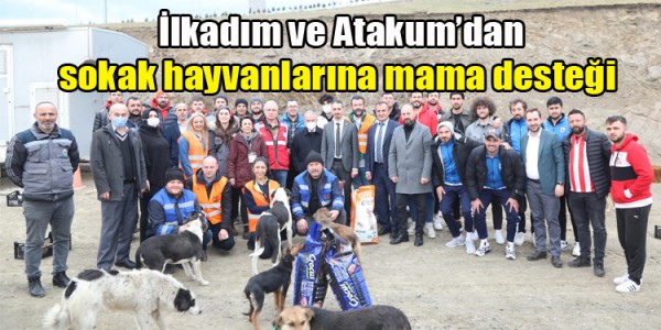 İlkadım ve Atakum’dan sokak hayvanlarına mama desteği 