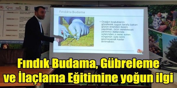 Fındık Budama, Gübreleme ve İlaçlama Eğitimine yoğun ilgi