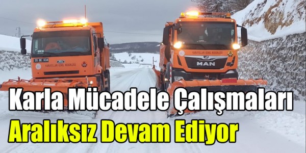 Karla Mücadele Çalışmaları Aralıksız Devam Ediyor