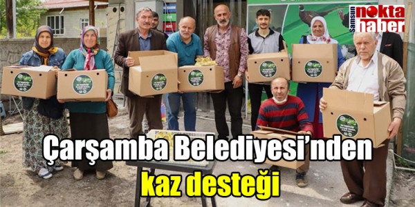 ÇARŞAMBA BELEDİYESİ İLK KAZLARI SAHİBİNE TESLİM ETTİ