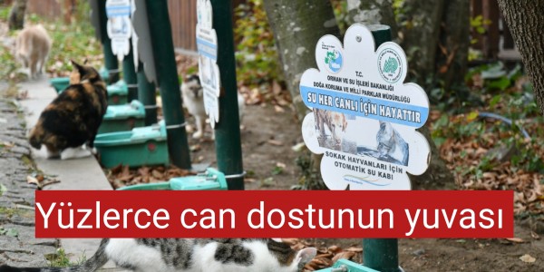 Yüzlerce can dostunun yuvası 