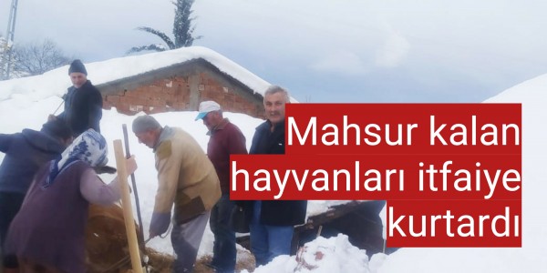 Mahsur kalan hayvanları itfaiye kurtardı