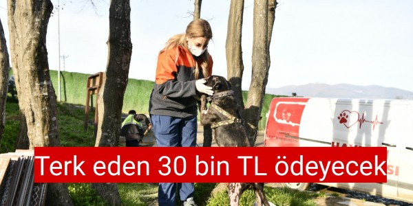 Terk eden 30 bin TL ödeyecek